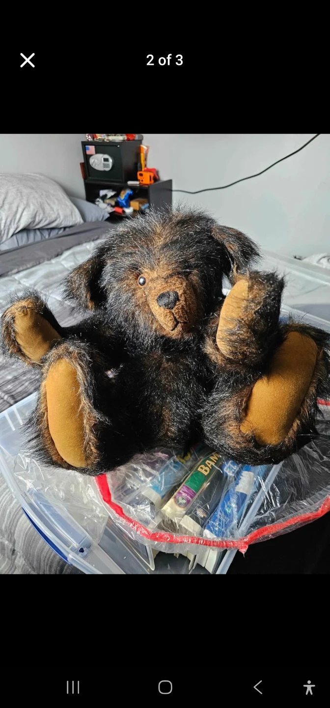 Mohair Vintage bear with poseable arms and leg with music box - photo 2