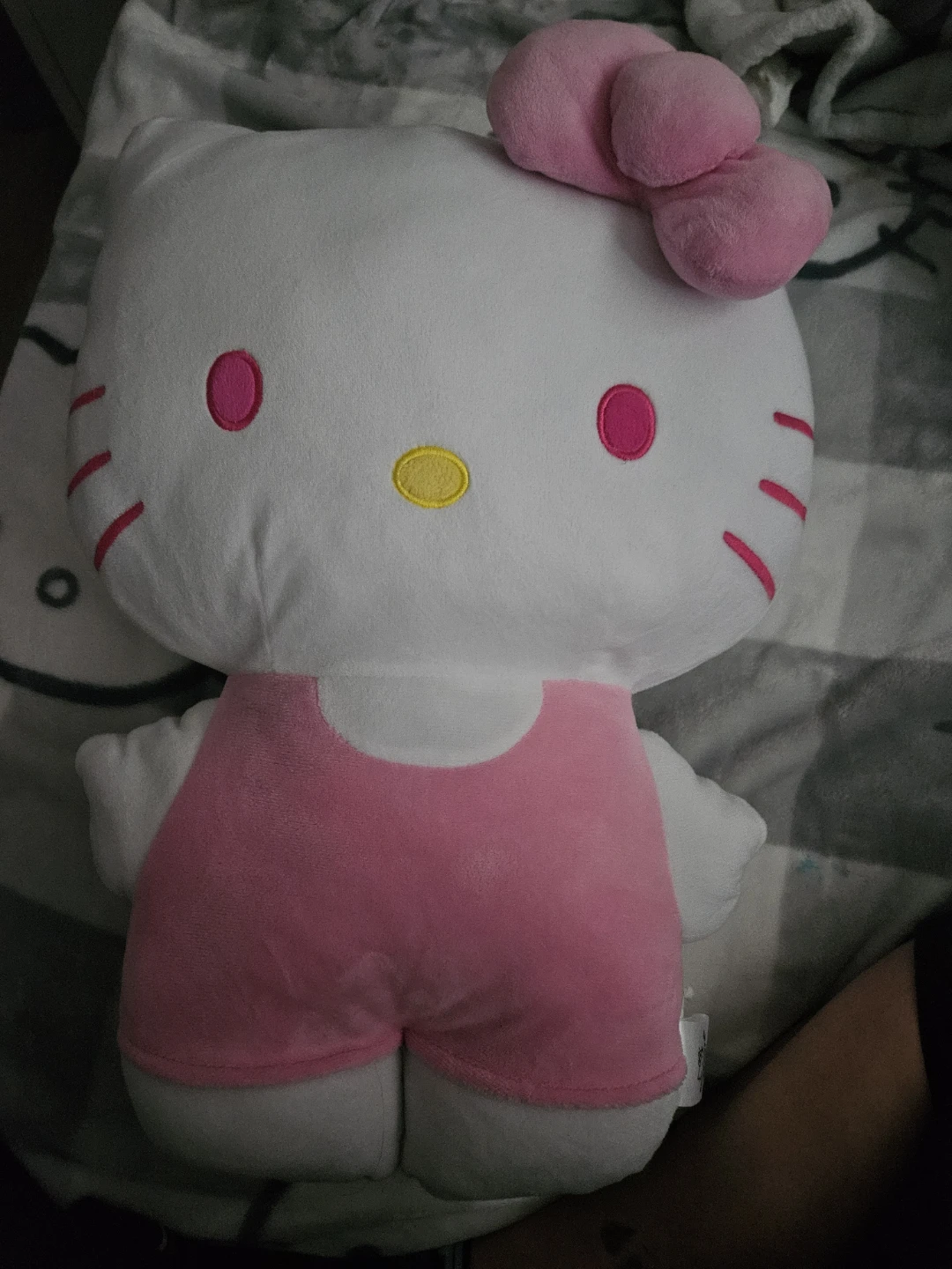 🥕🥕🥕🥕Hello Kitty Plush Toy - White with Pink Outfit