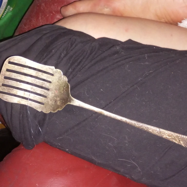 Vintage Silver Plated Serving Spatula
