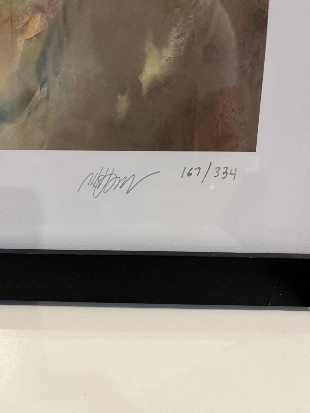 Framed Magic The Gathering Baleful Strix Art Print 167/334 - photo 2