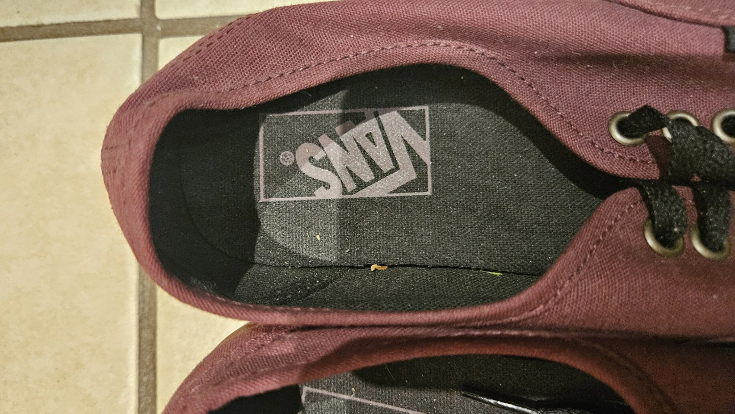 Vans Shoes - Black/Grey Boat Shoes & Burgundy Sneakers - photo 4