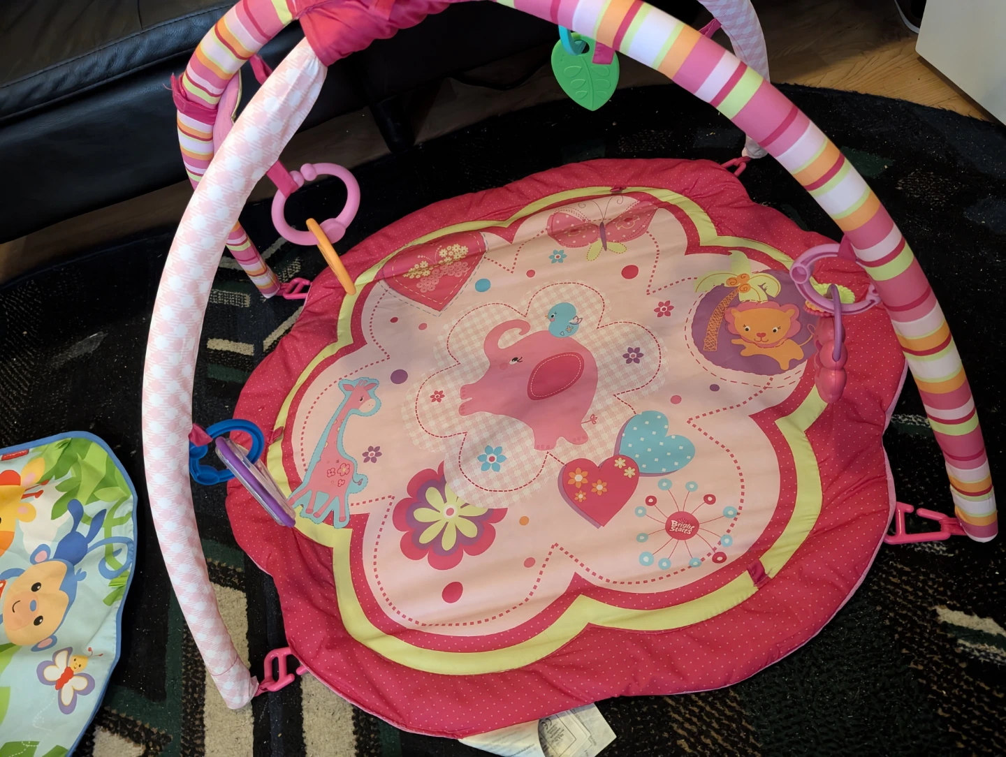 Bright Starts Baby Play Mat Gym