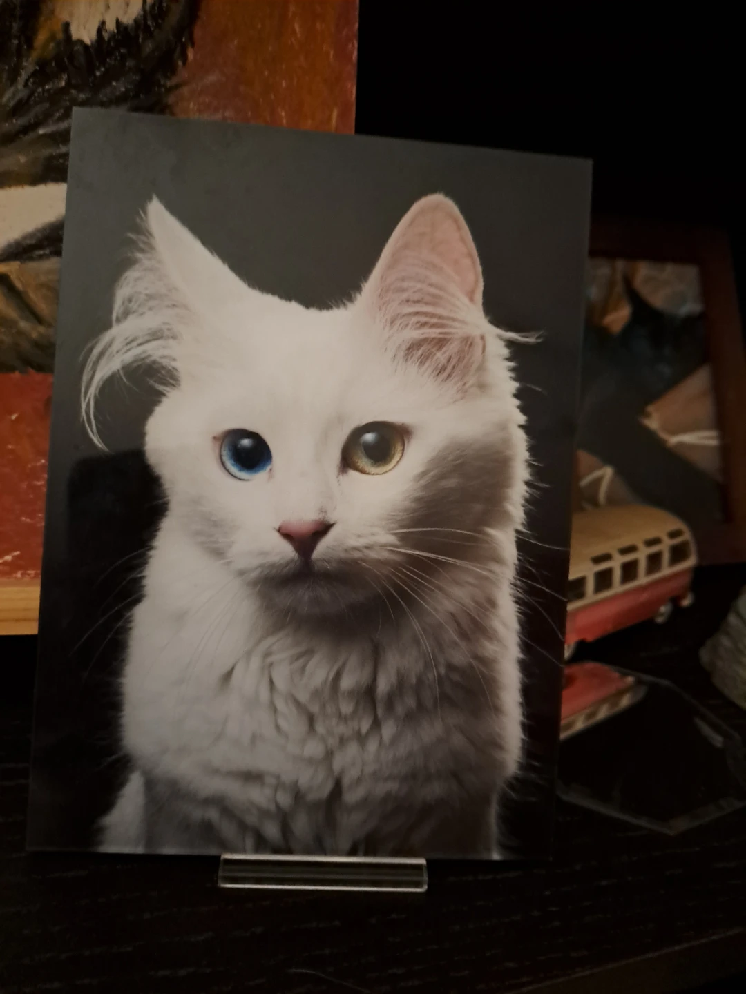 White Cat Print with Heterochromia