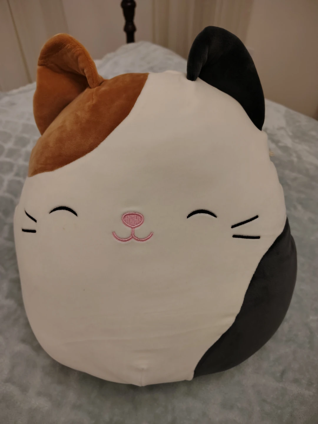 Squishmallows Cat Plush Toy - lrg