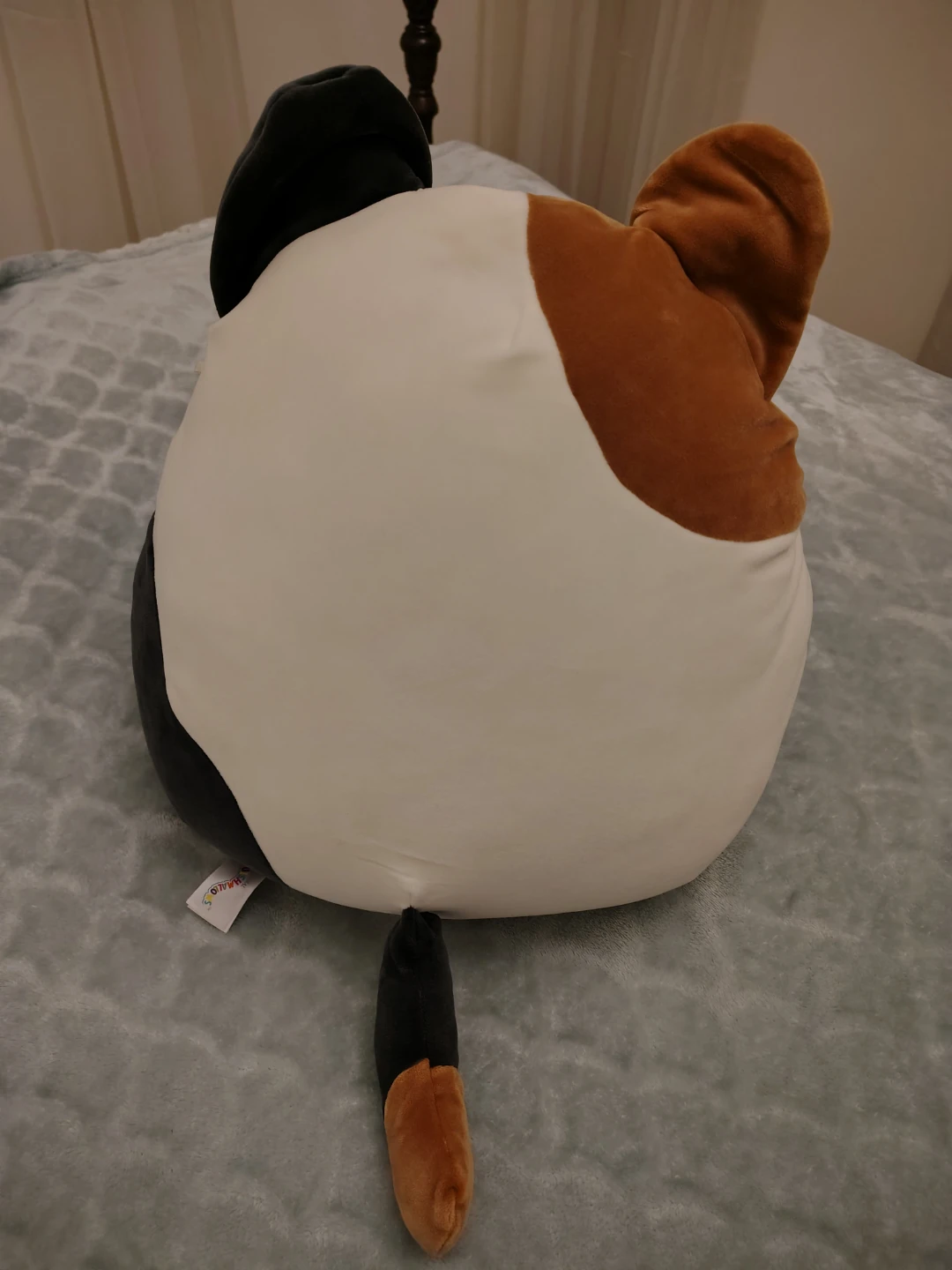 Squishmallows Cat Plush Toy - lrg - photo 2