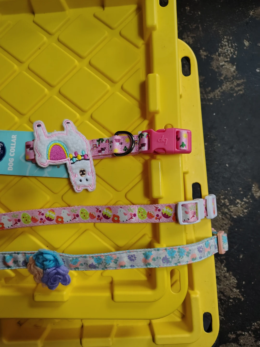 Blueberry Pet Dog Collars (3-Pack) - photo 4