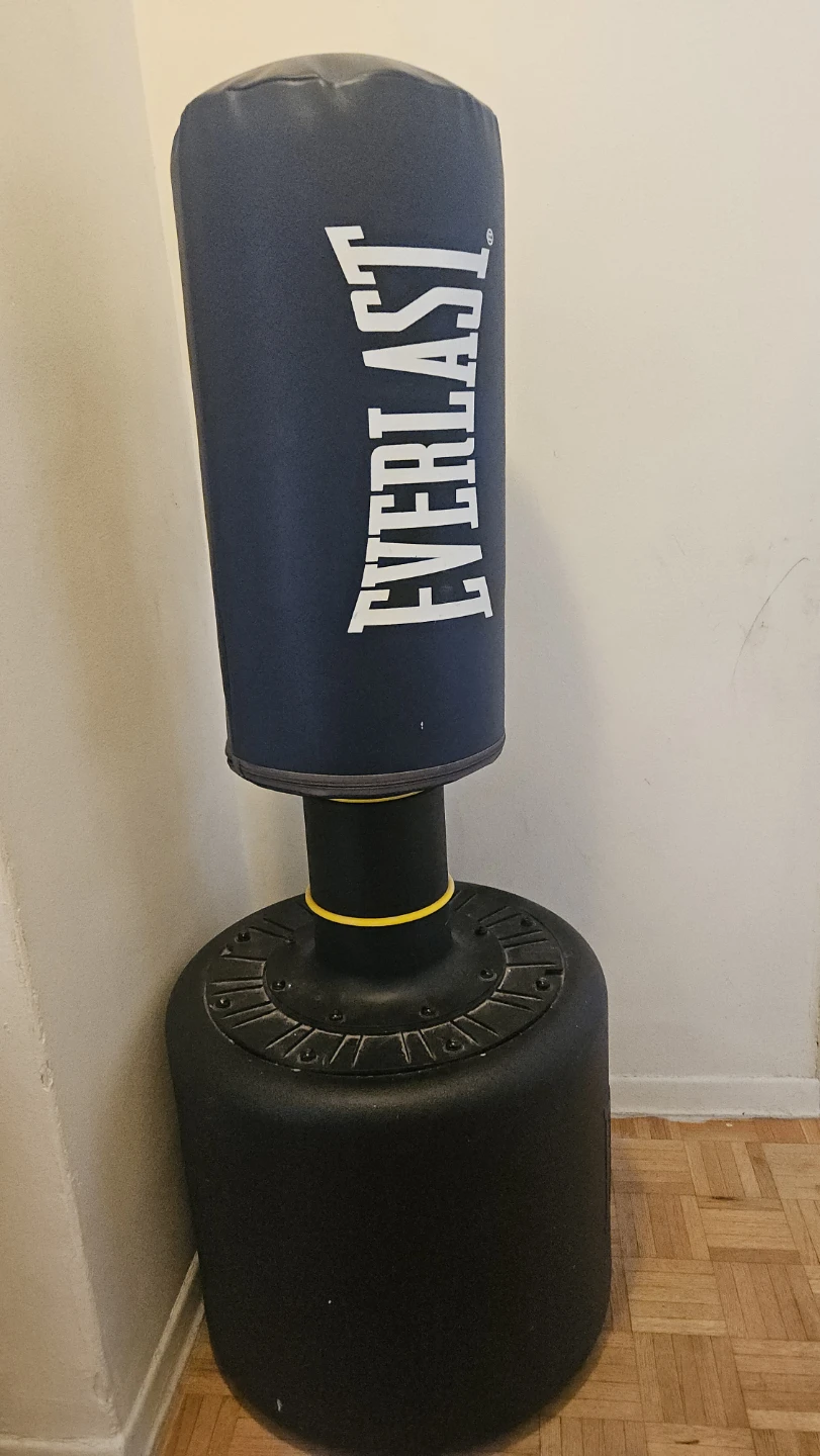 Everlast Freestanding Punching Bag