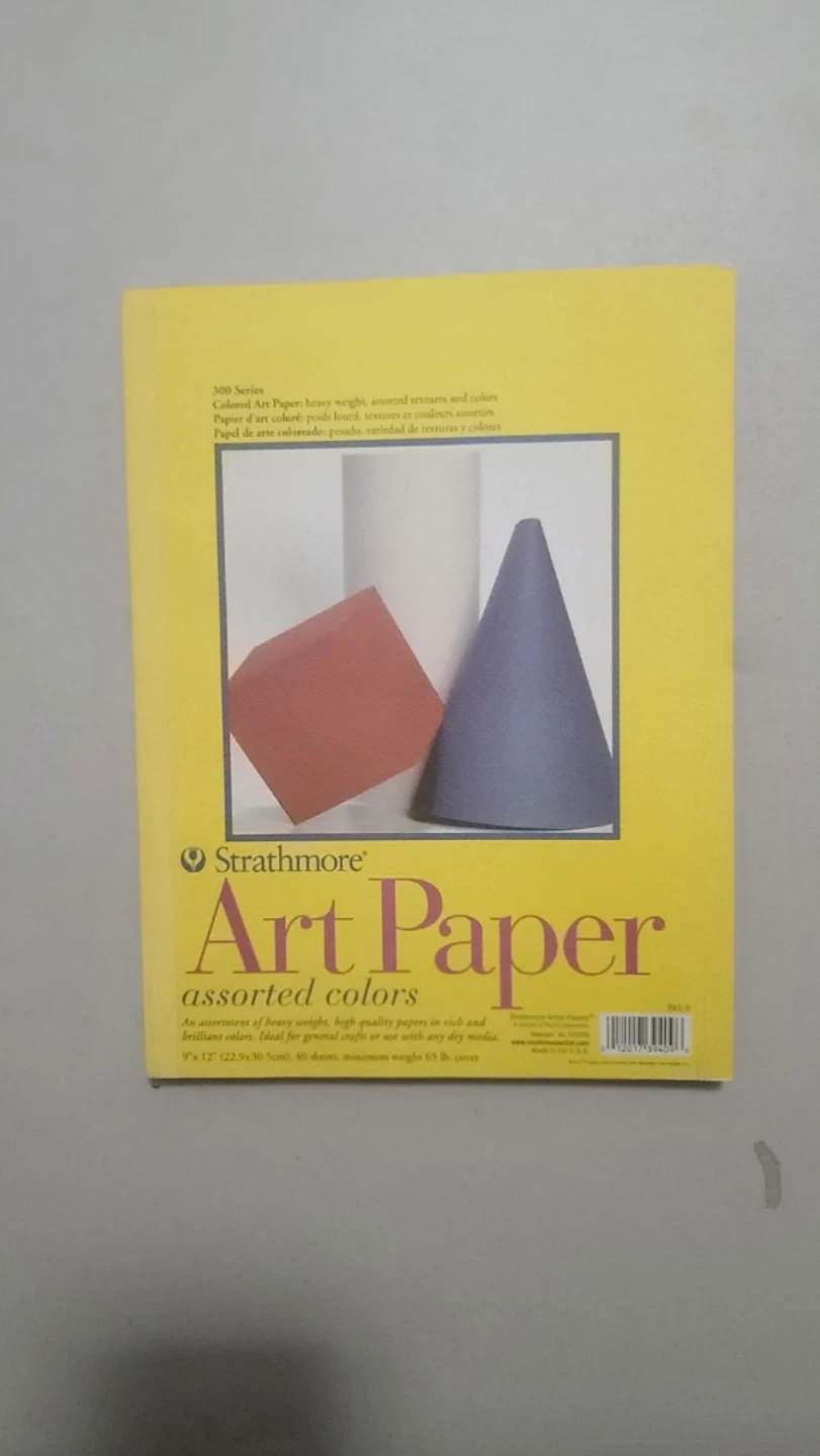 Strathmore 300 Series Colored Art Paper - Assorted Colors
