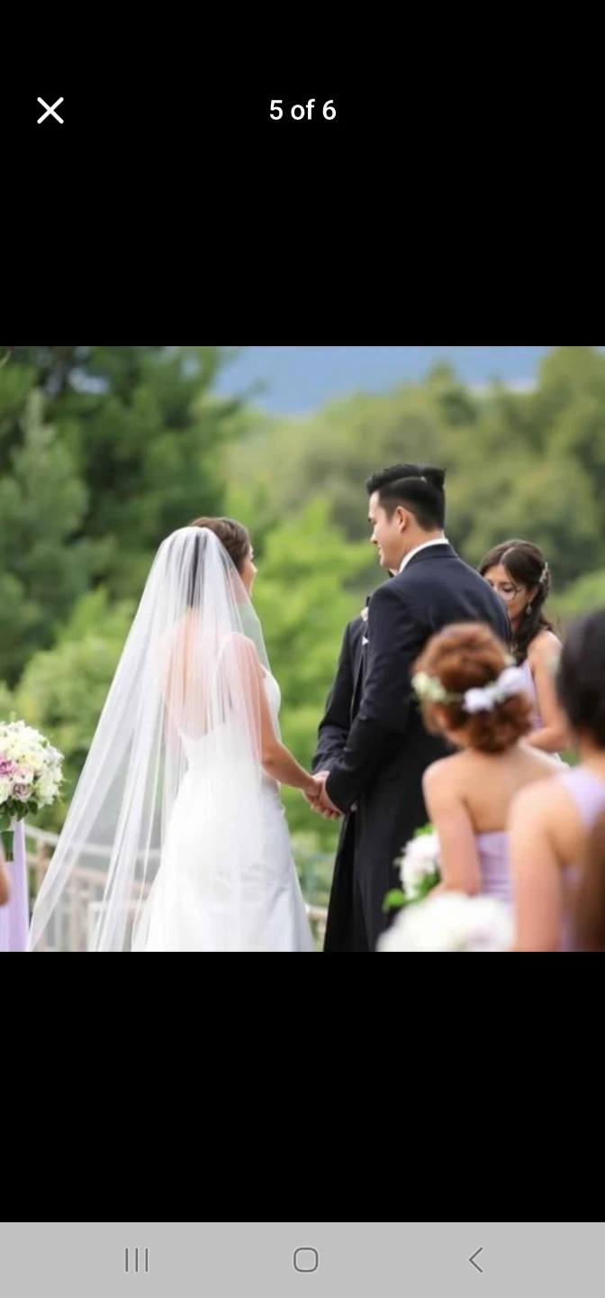 Ivory Cathedral Veil 🧡