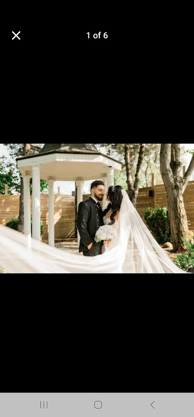 Ivory Cathedral Veil 🧡 - photo 3