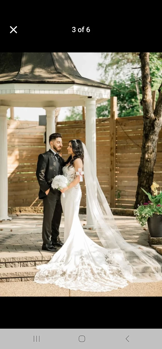 Ivory Cathedral Veil 🧡 - photo 4