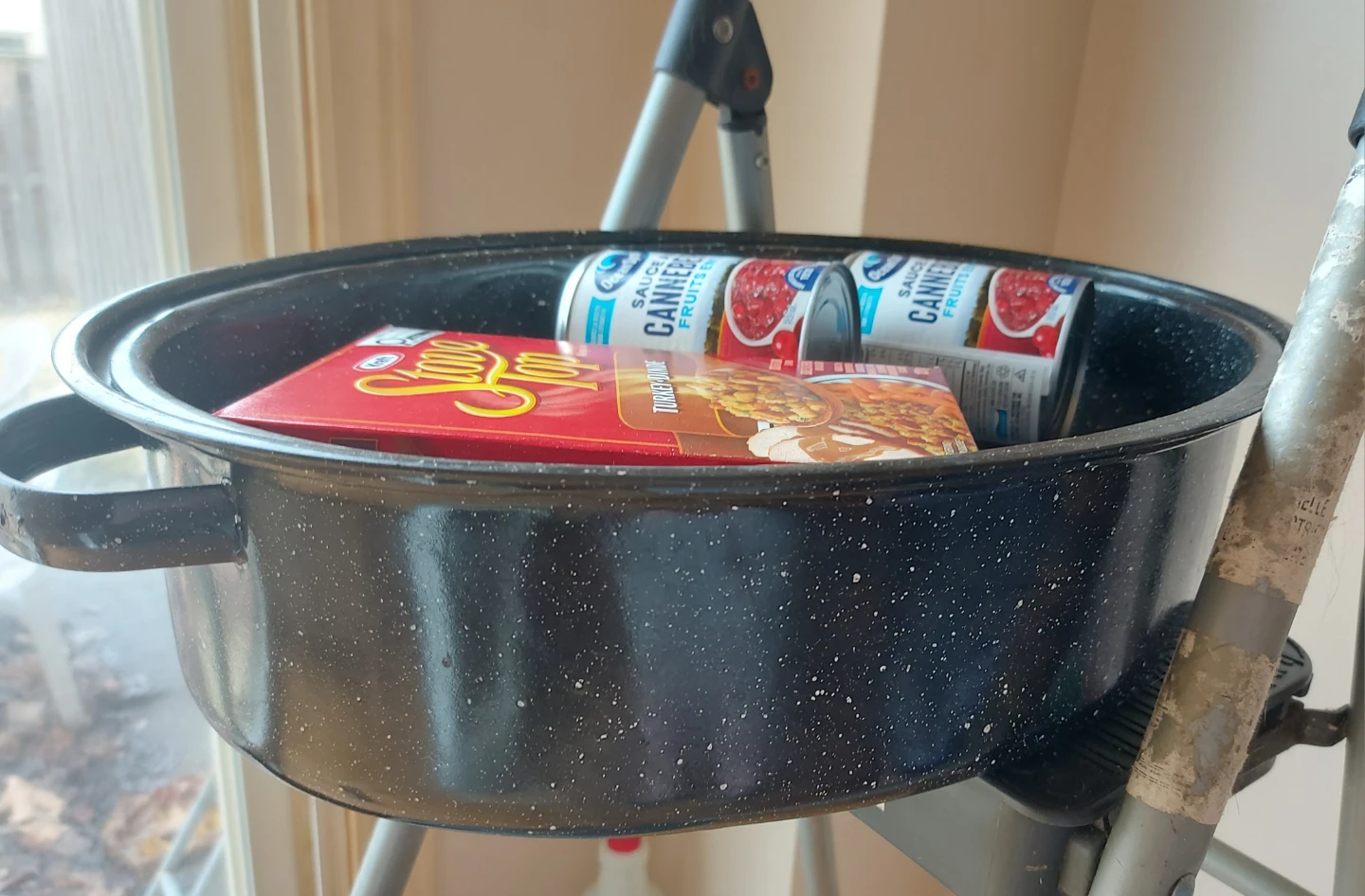 Black speckled roasting pan