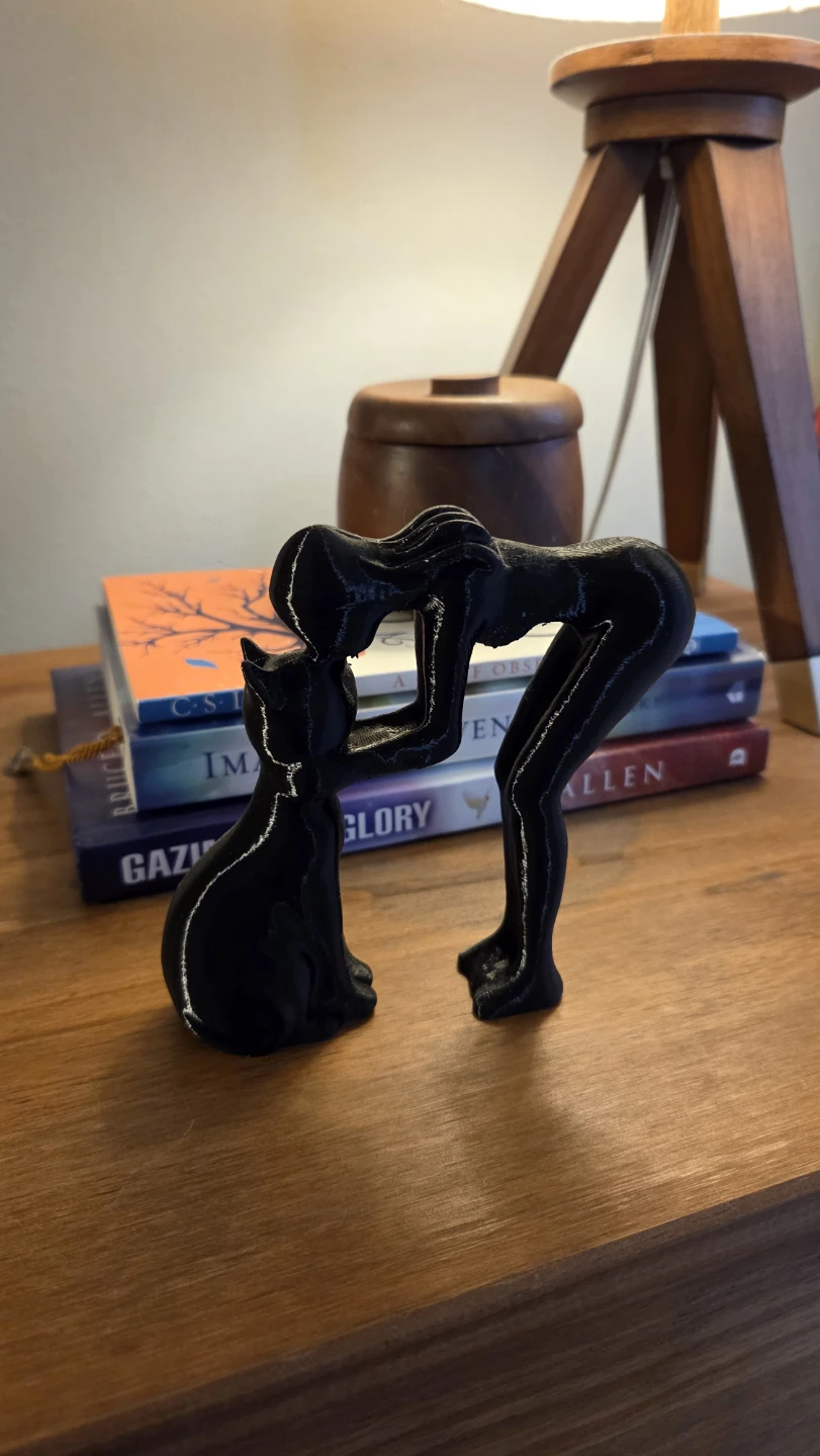 Black Cat and Person Figurine *new