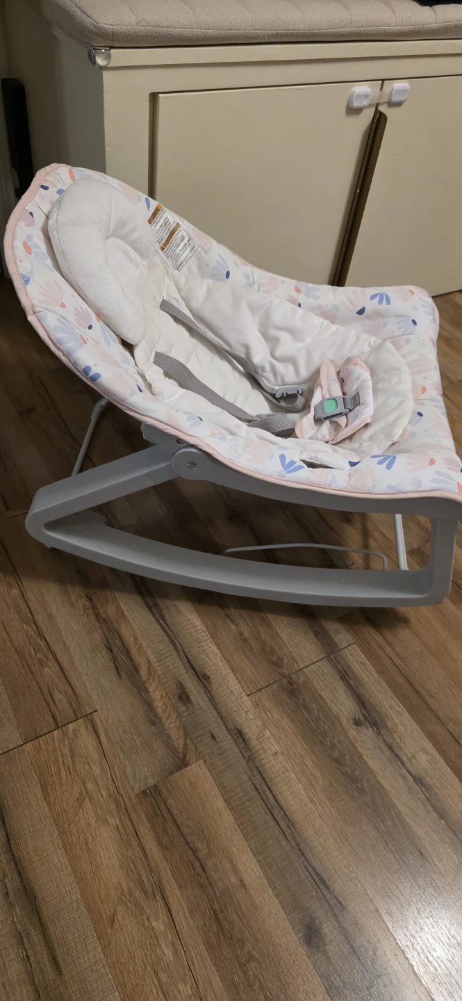 Infant/Toddler 3-in-1 Grow Baby Bouncer Seat - photo 3