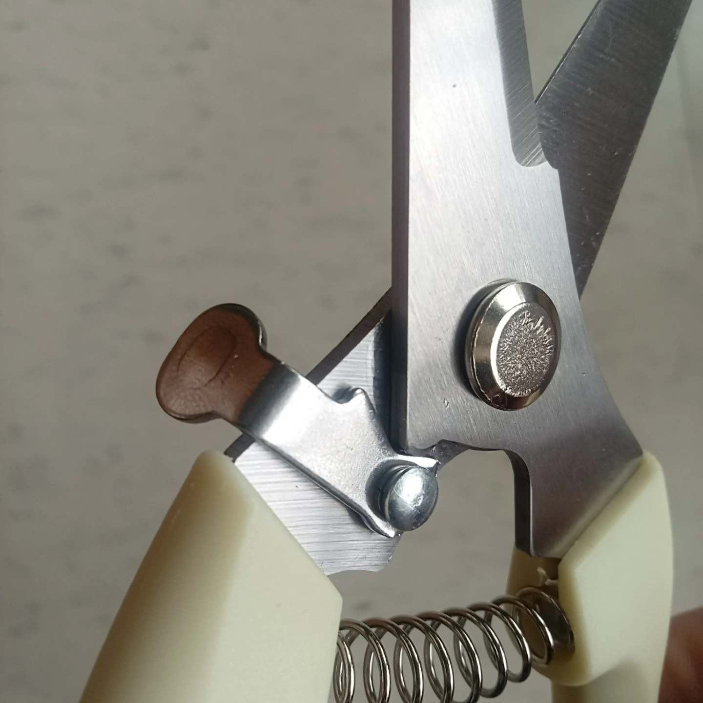 Garden Pruning Shears - 18mm Shear Capacity - photo 4