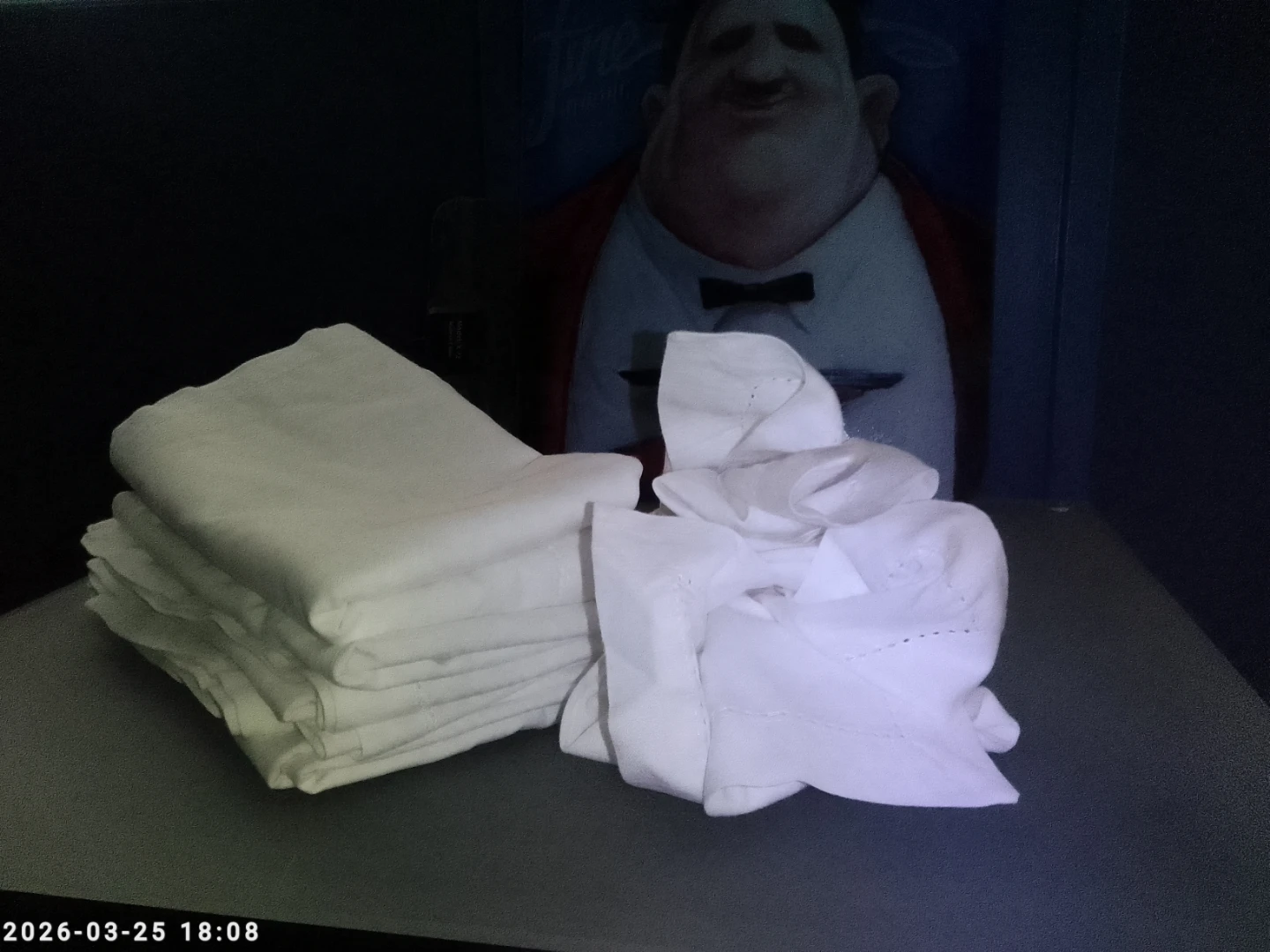 Catering and Dining clothe table napkins. - photo 2