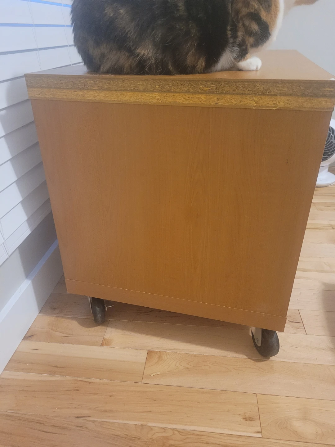 Wooden Storage Unit with Wheels - photo 4