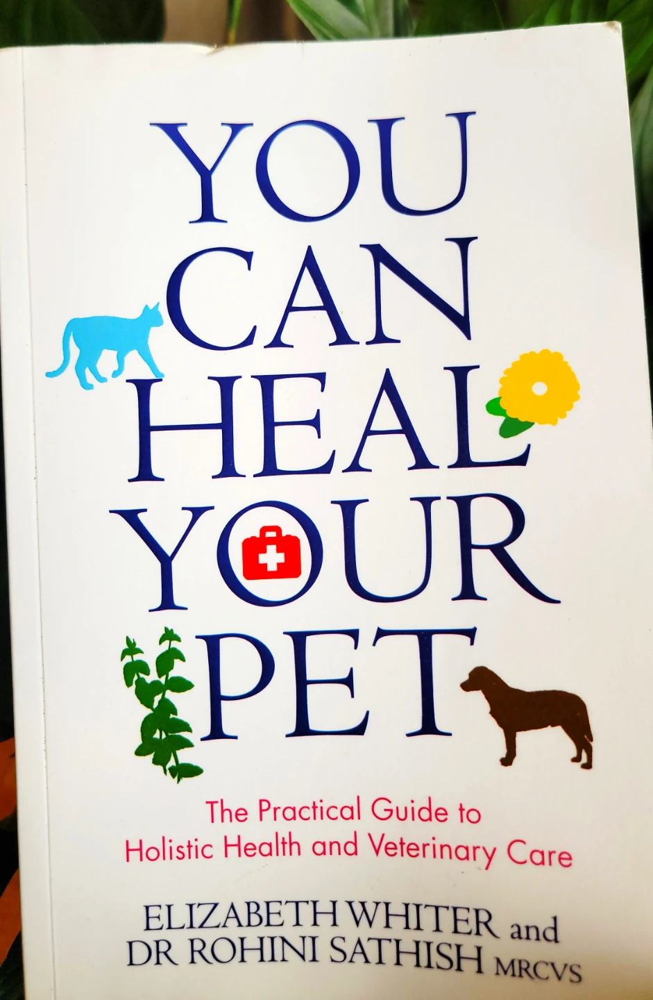 Free Pet Care Book – Holistic Pet Health Guide