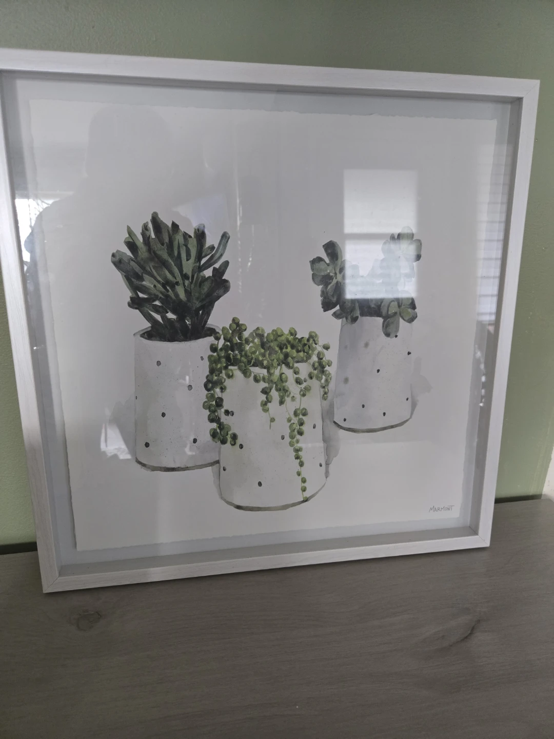 Framed Artwork of Succulents in Pots - photo 2