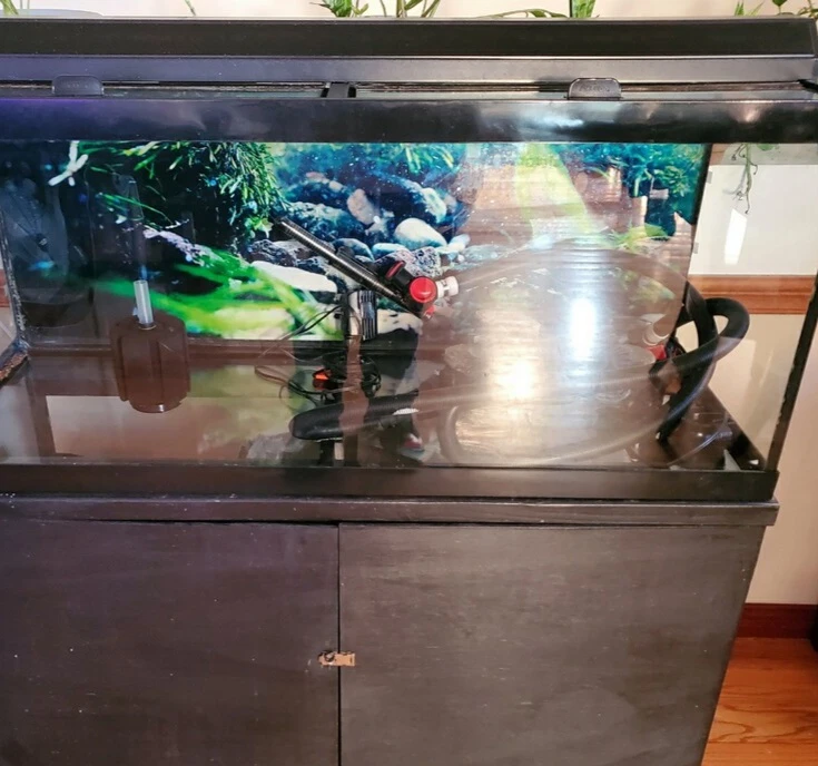 Large Aquarium with Stand and accessories
