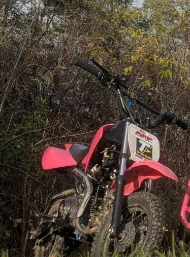 Kids Dirt Bike - Pink - photo 2