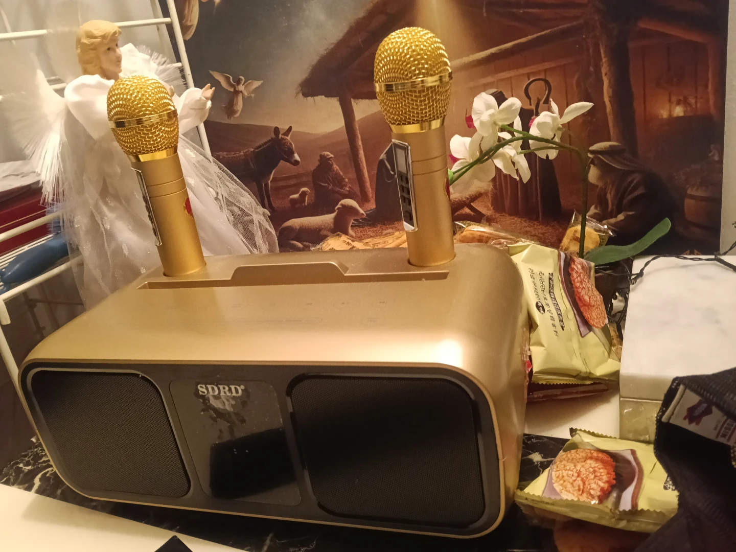 SDRD Gold Wireless Karaoke Microphone System