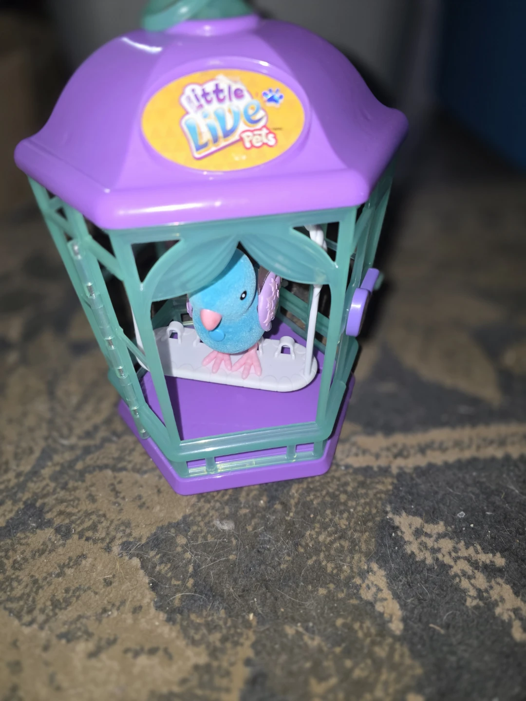 Little Live Pets Bird Cage Toy