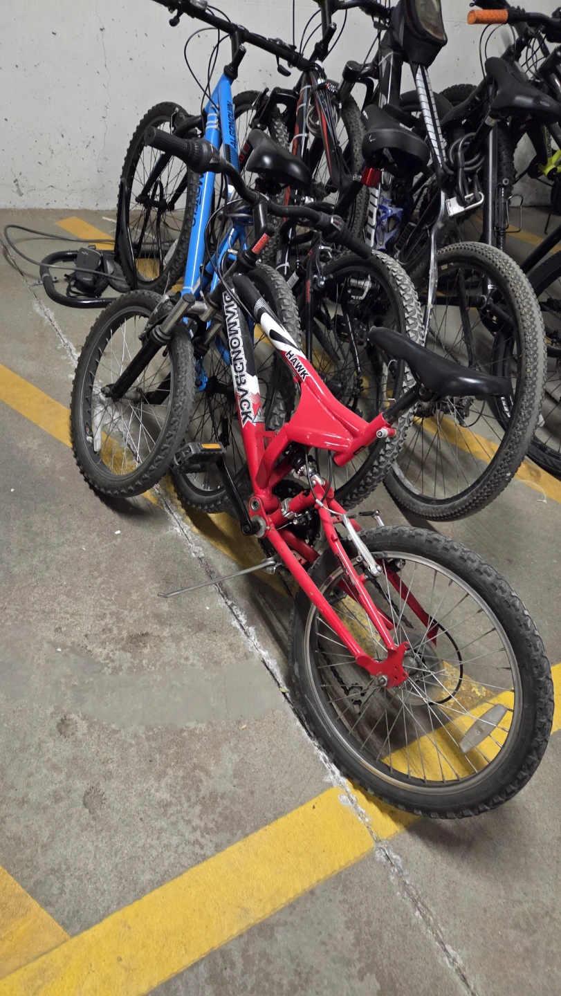 Diamondback "Hank" Mountain Bike kids 20"