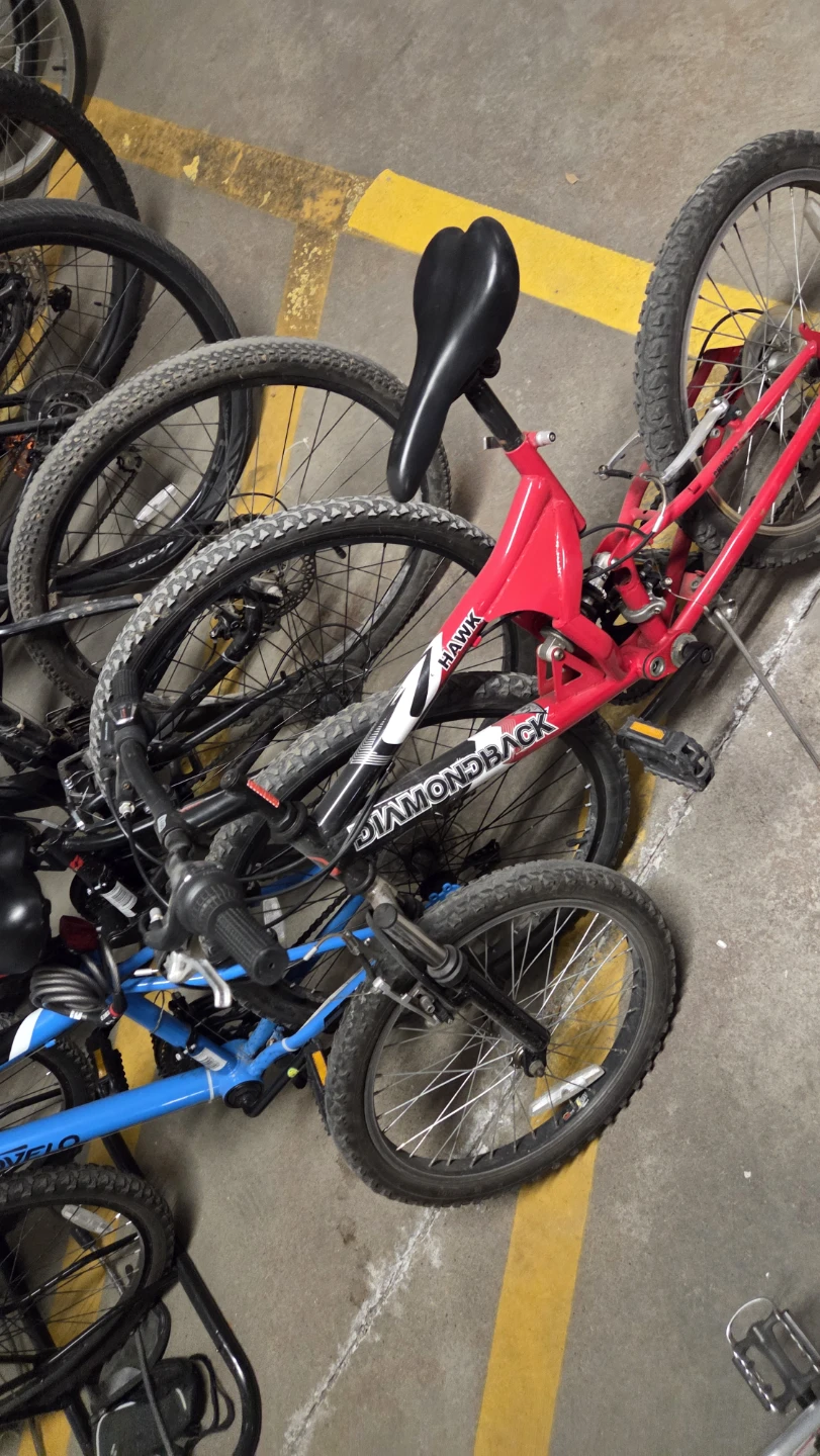 Diamondback "Hank" Mountain Bike kids 20" - photo 2