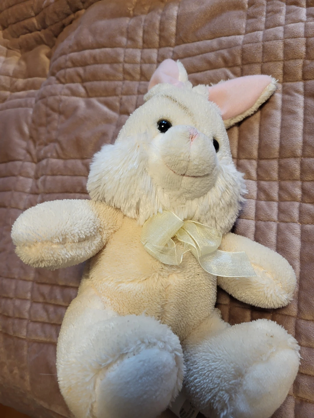 Plush Bunny Rabbit Stuffed Animal
