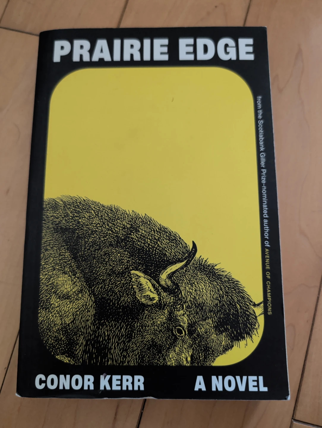Prairie Edge by Conor Kerr - A Novel