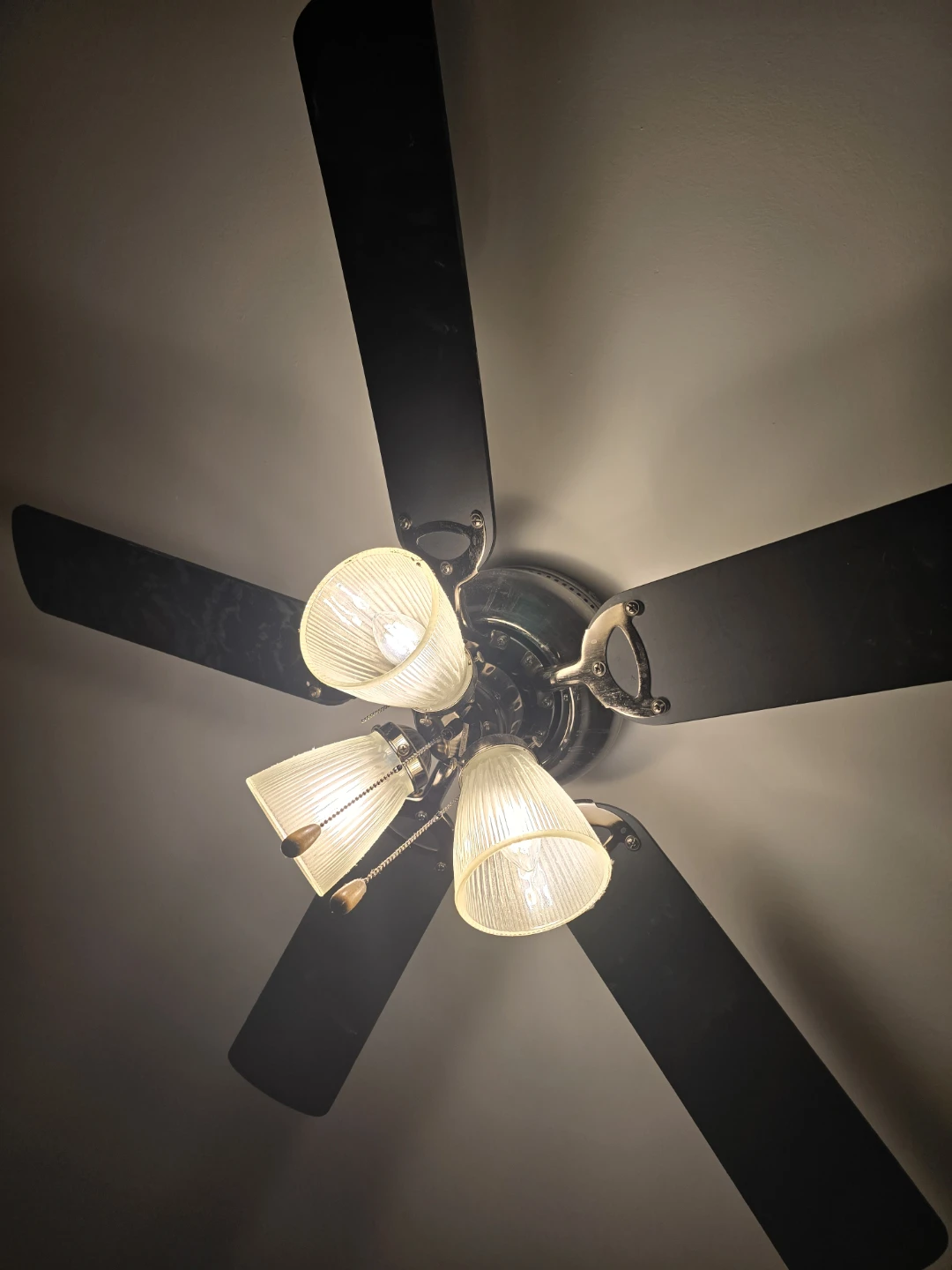 Black 5-Blade Ceiling Fan with Lights