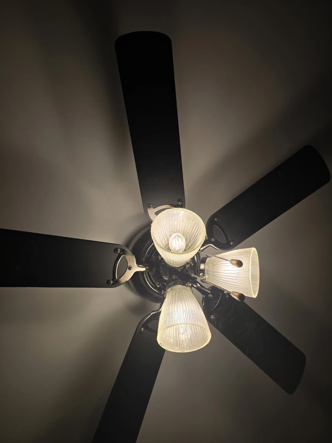 Black 5-Blade Ceiling Fan with Lights - photo 2