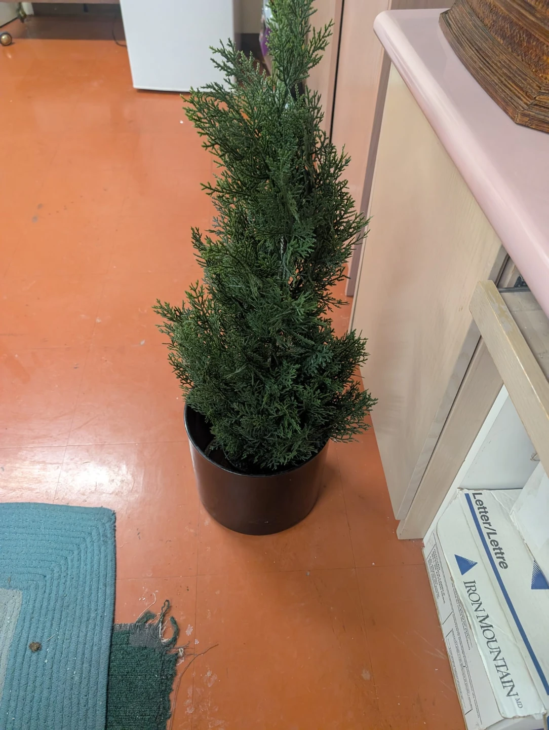 Artificial Cedar Tree in Black Pot