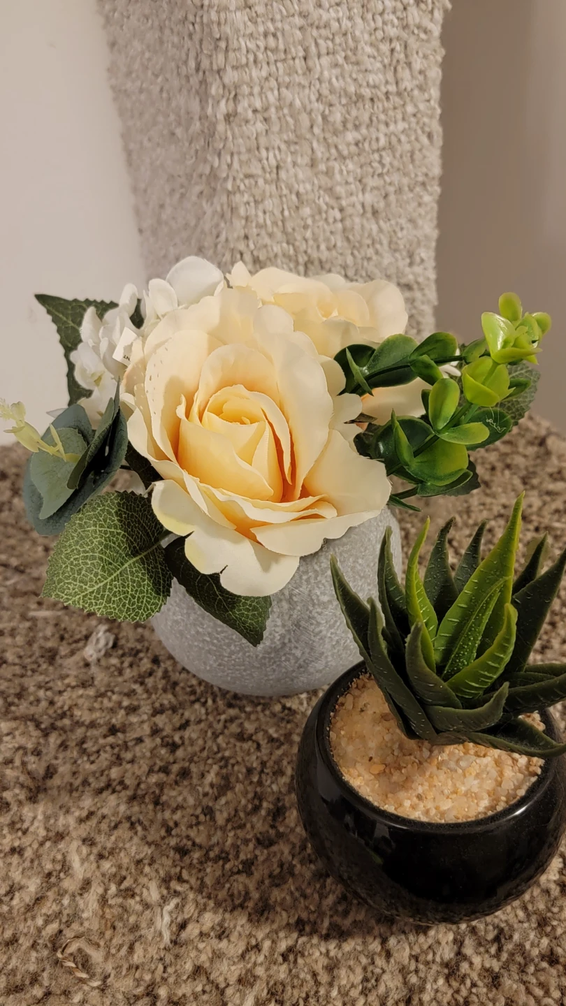 Artificial Rose and Succulent Plant Set