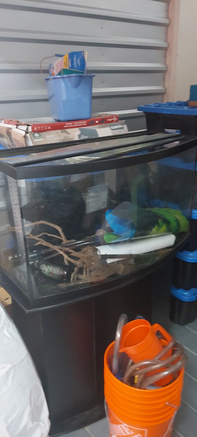 Curved Front Aquarium 46 gallon Tank with Stand
