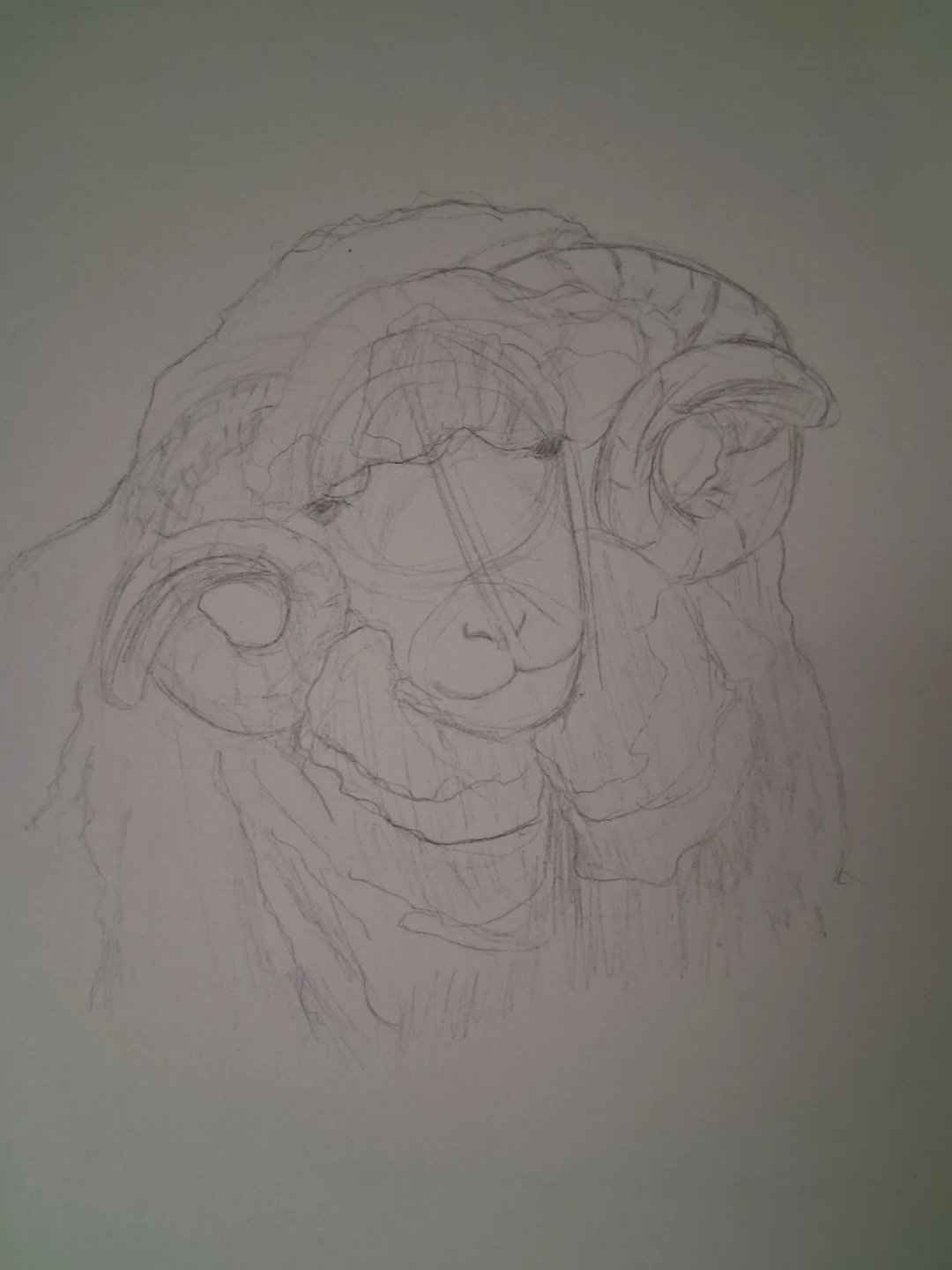 Pencil Sketch of a Ram