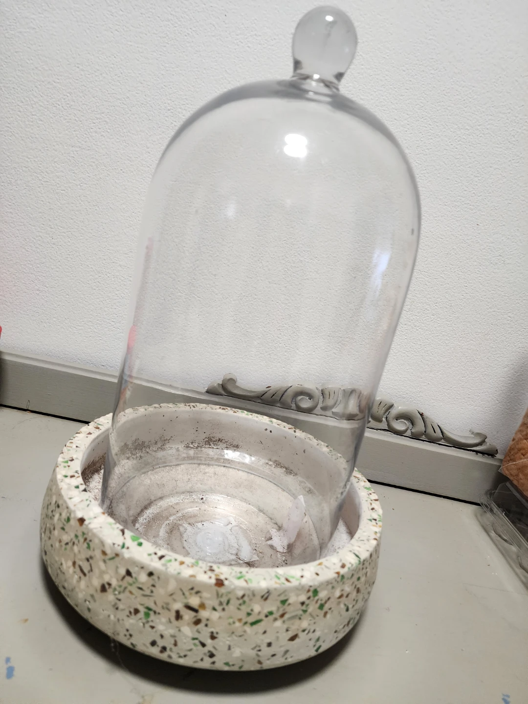 Glass Cloche and Planter in wooden house structure 🥕 - photo 2