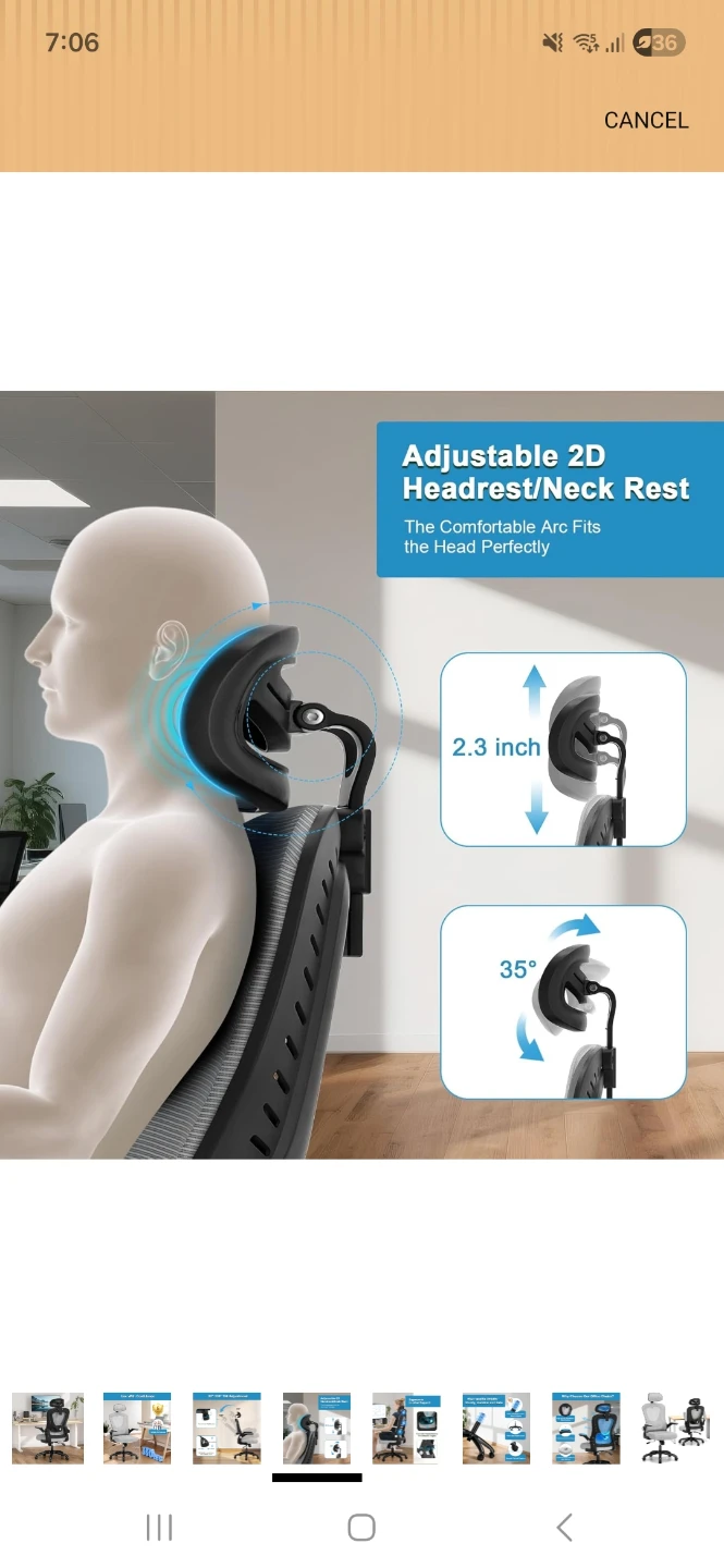 SPRDENG Ergonomic Office Chair