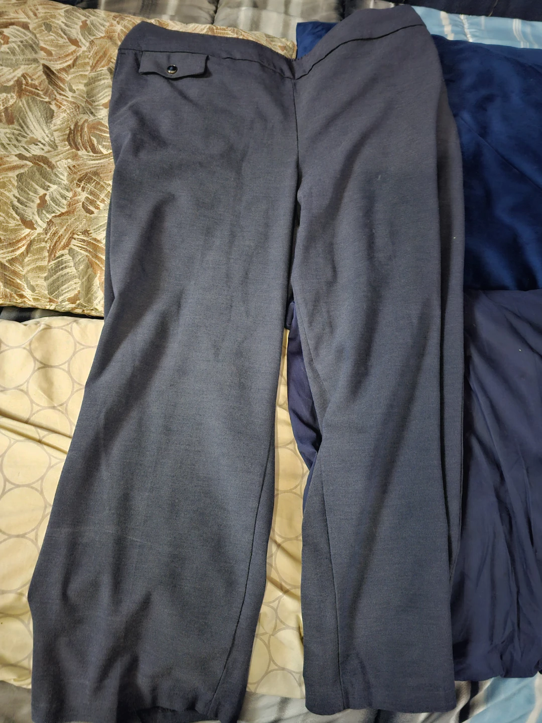 Rachel Zoe Women's Pants Size 2X Blue