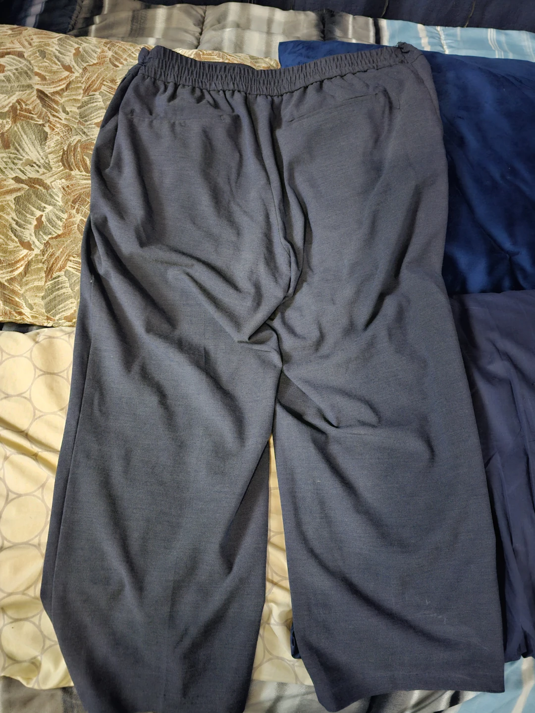 Rachel Zoe Women's Pants Size 2X Blue - photo 3