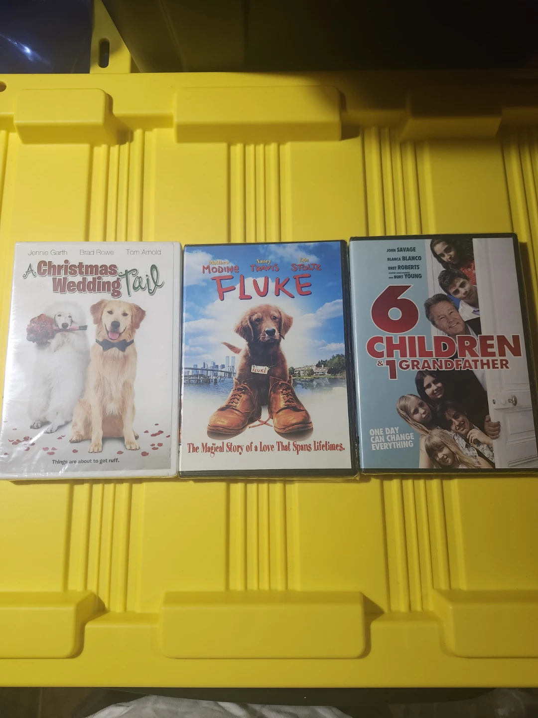 3 Movie DVD Set: A Christmas Wedding Tail, Fluke, 6 Children