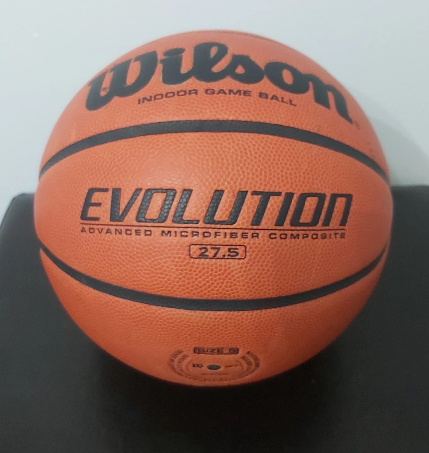 Wilson Evolution Indoor Game Basketball