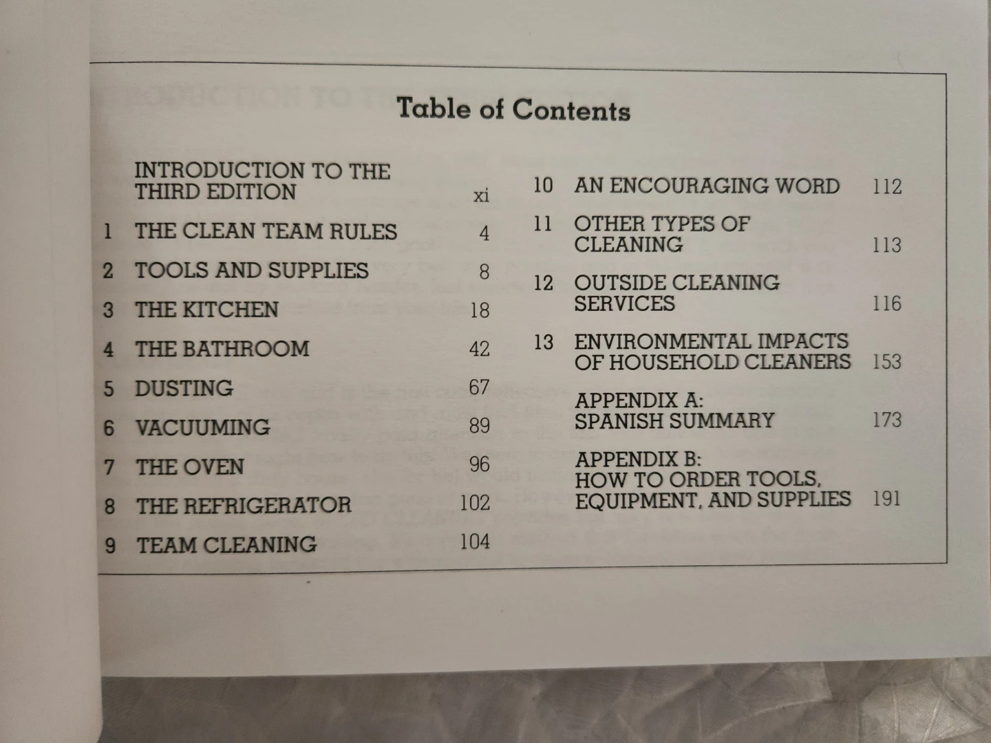 Speed Cleaning Book - photo 3