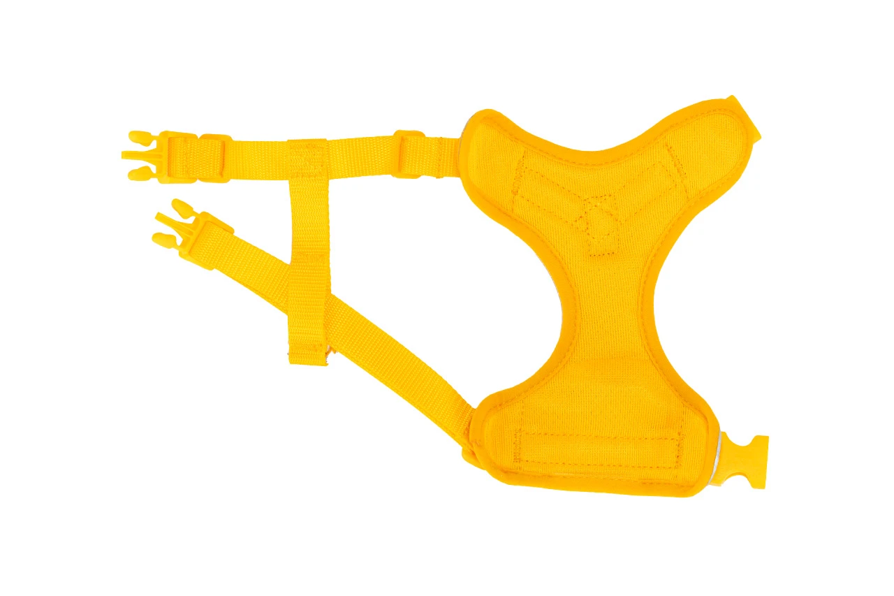 RC adventure Kitty harness