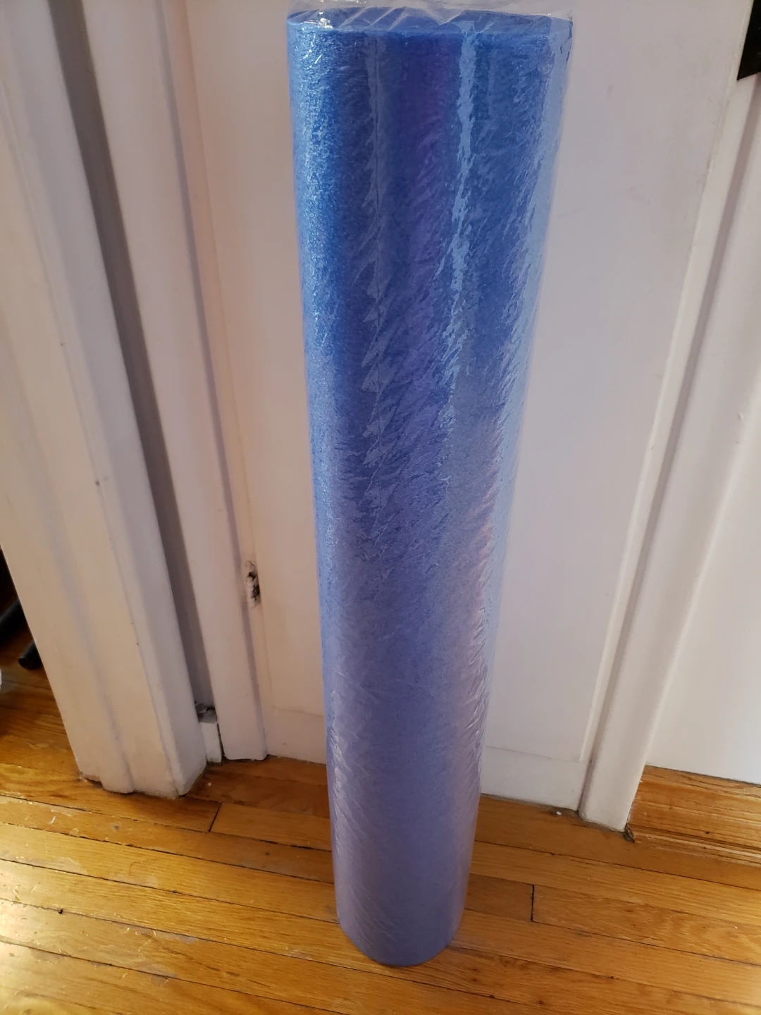 Blue Foam Roller