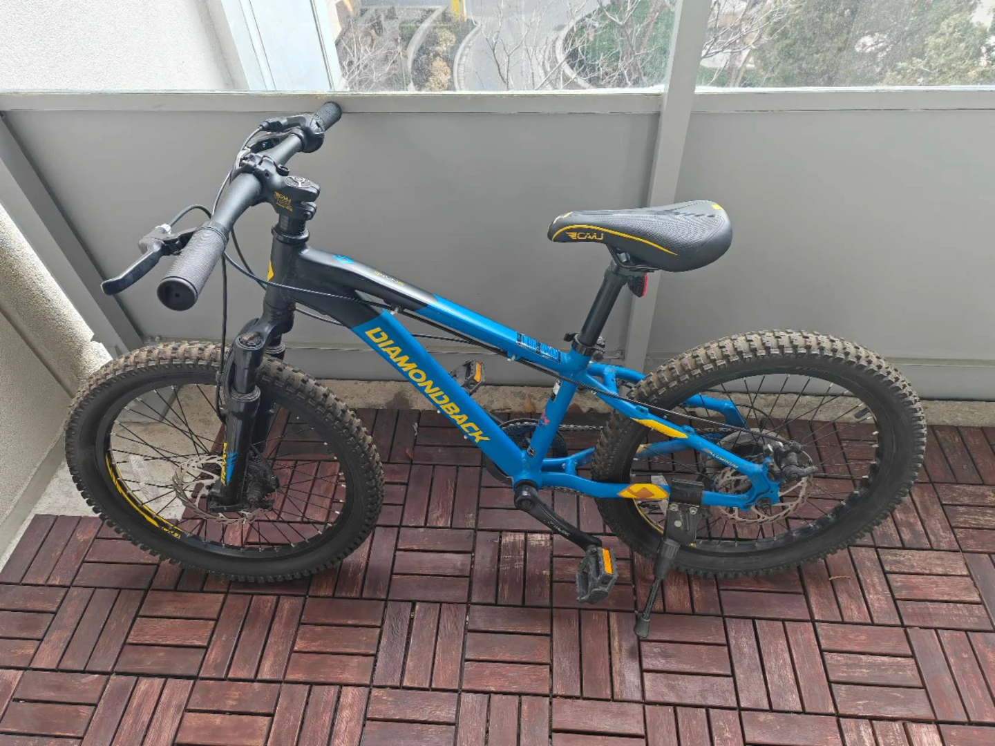 Diamondback Blue Youth Mountain Bike