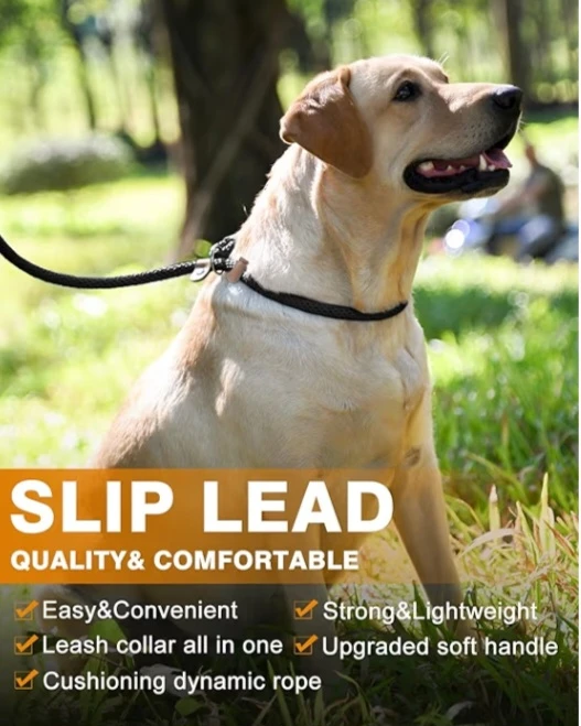 NEW!   Lynxking Slip Lead Dog Leash 6 FT x 1/2 inch