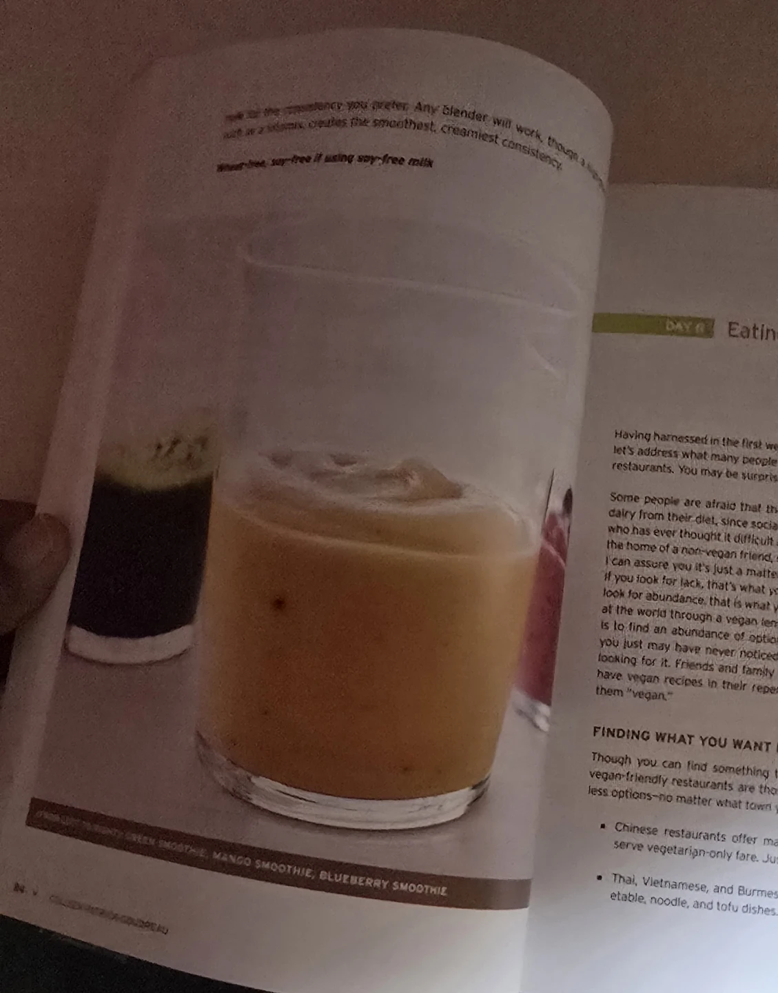 The 30-Day Vegan Challenge Cookbook - photo 4