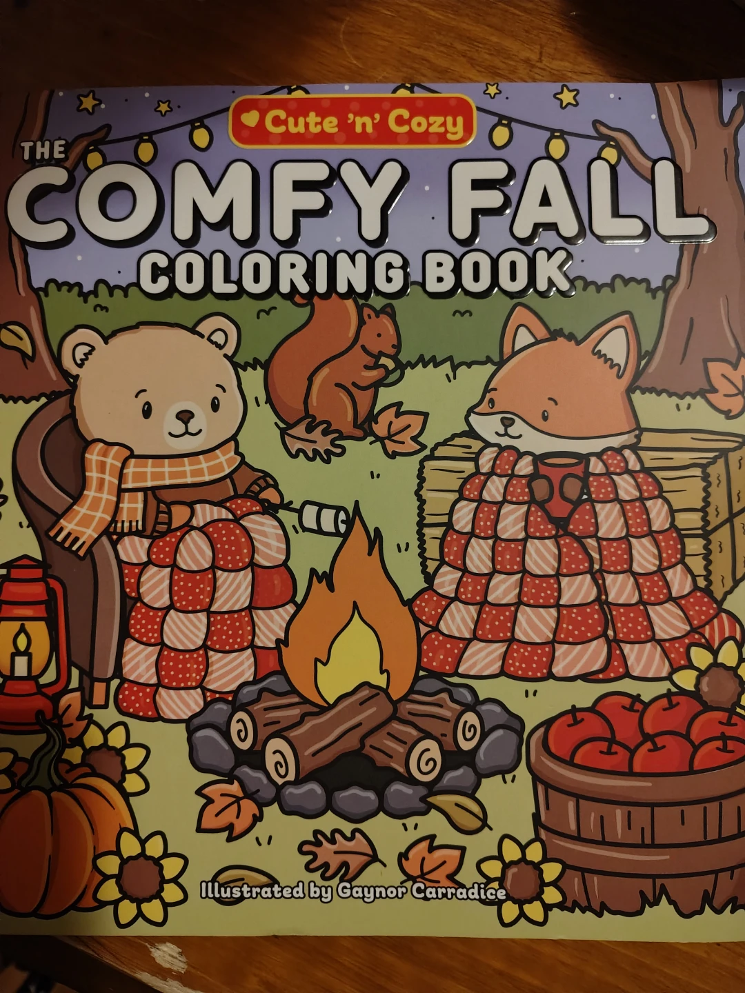 Activity/Coloring Books - photo 4